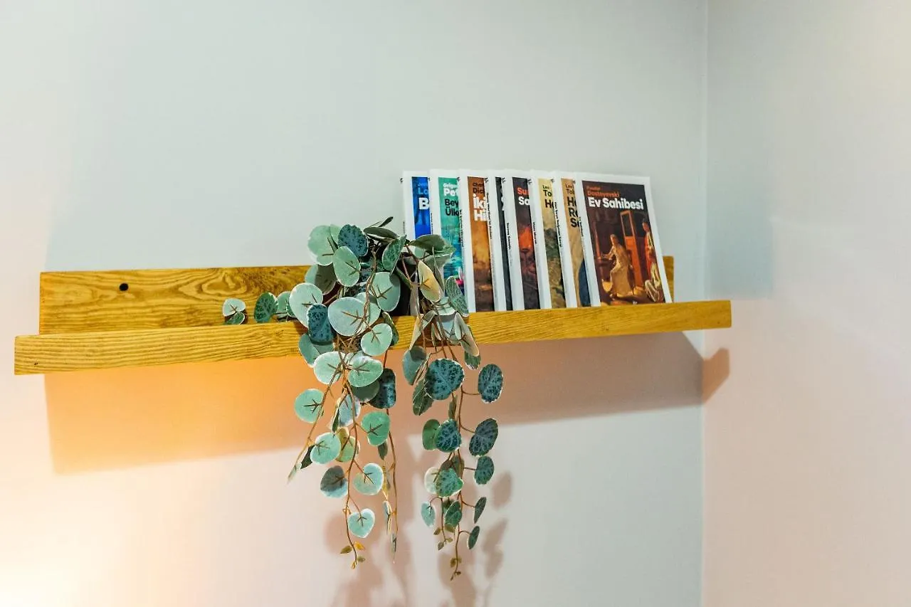 Central And Stylish Apartment 5 Min Walk To Istiklal Street In Cihangir, Beyoglu Turkey