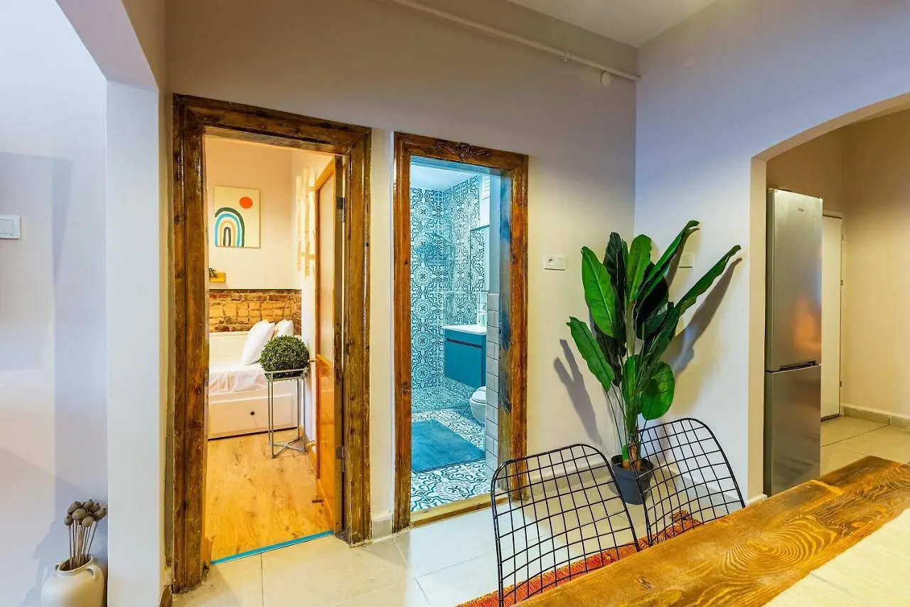 Central And Stylish Apartment 5 Min Walk To Istiklal Street In Cihangir, Beyoglu Turkey