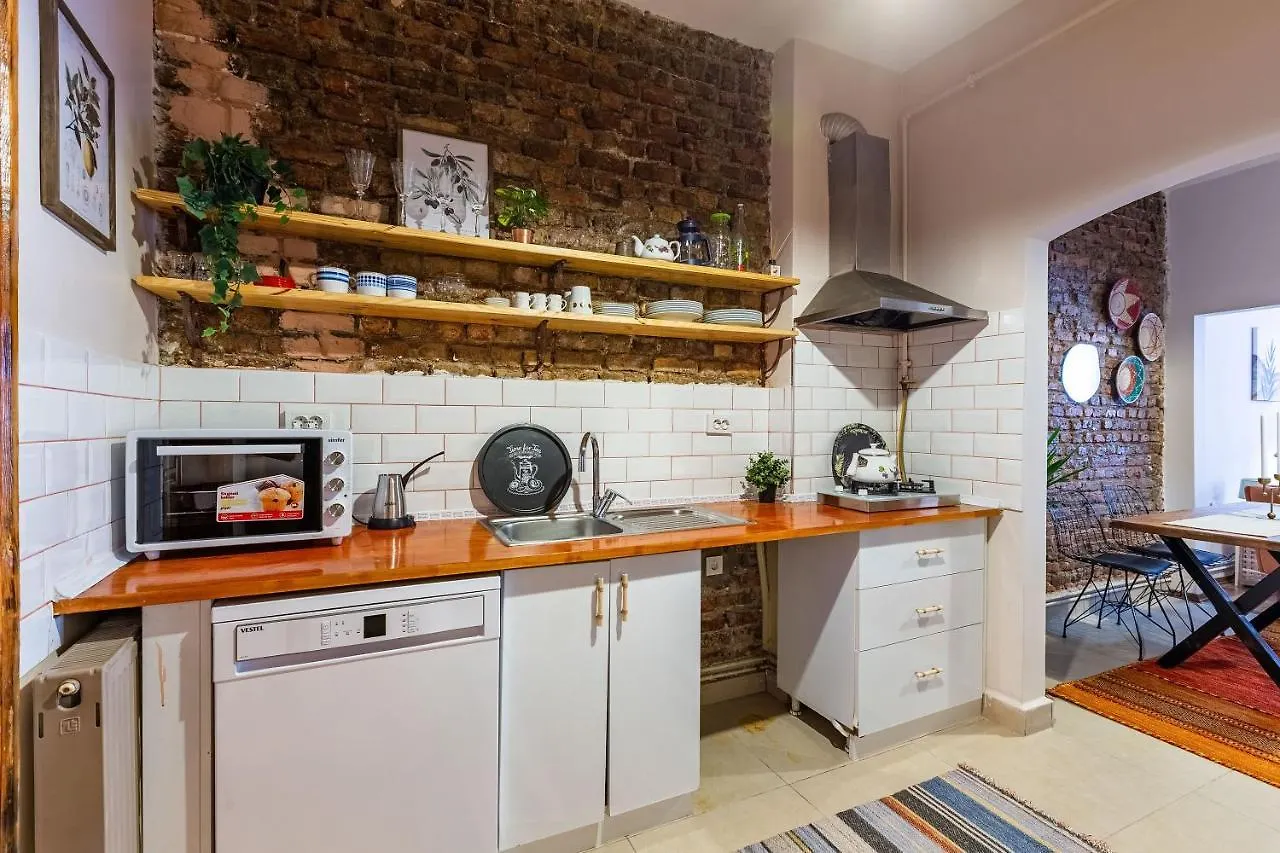 Central And Stylish Apartment 5 Min Walk To Istiklal Street In Cihangir, Beyoglu