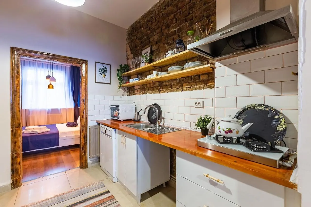 Central And Stylish Apartment 5 Min Walk To Istiklal Street In Cihangir, Beyoglu