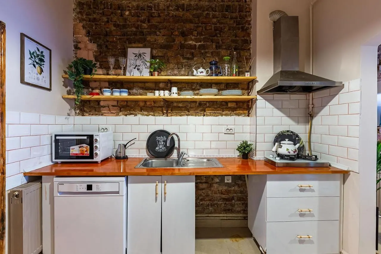 Central And Stylish Apartment 5 Min Walk To Istiklal Street In Cihangir, Beyoglu 0*, Istanbul